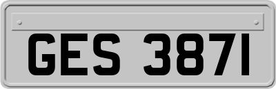 GES3871