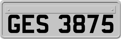 GES3875