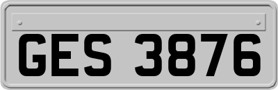 GES3876