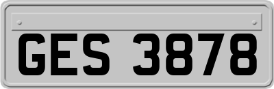 GES3878