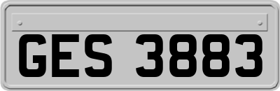 GES3883