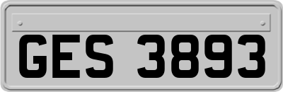 GES3893