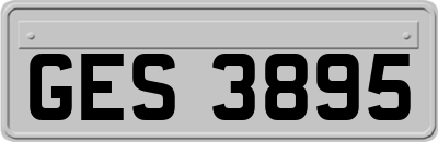 GES3895