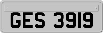 GES3919
