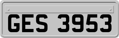GES3953