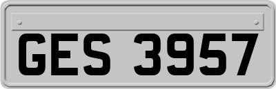 GES3957