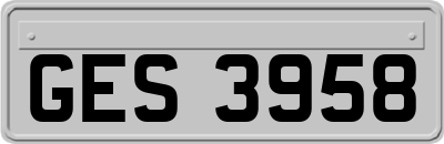 GES3958