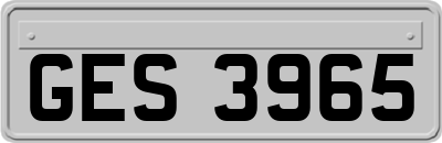 GES3965