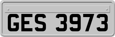 GES3973