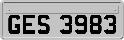 GES3983