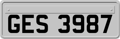 GES3987
