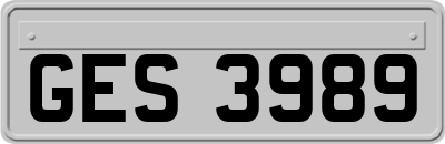 GES3989
