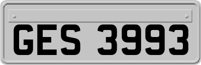 GES3993
