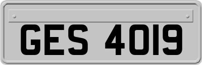 GES4019