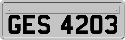 GES4203