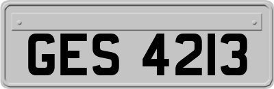 GES4213