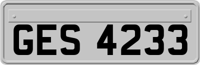 GES4233