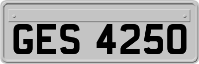 GES4250