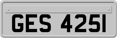 GES4251