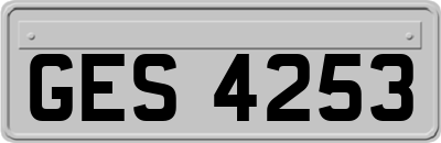 GES4253