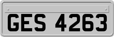 GES4263