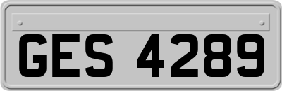 GES4289
