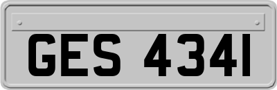 GES4341