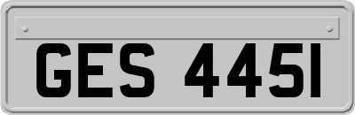 GES4451