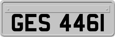 GES4461