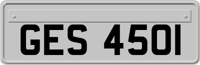 GES4501