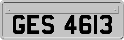 GES4613
