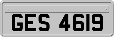 GES4619