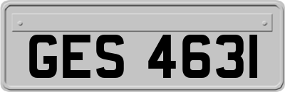 GES4631