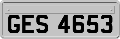 GES4653
