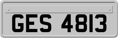 GES4813