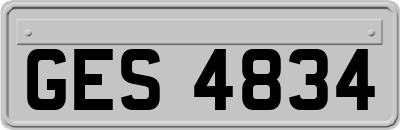 GES4834