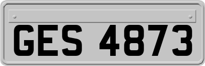 GES4873