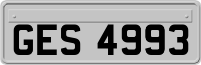 GES4993