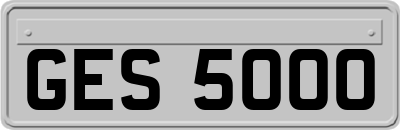 GES5000