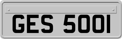 GES5001