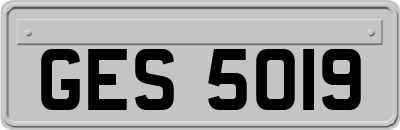 GES5019