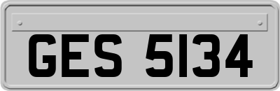 GES5134