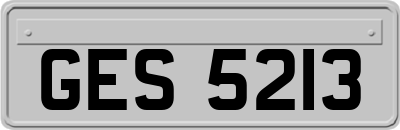 GES5213