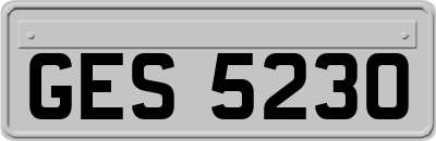 GES5230
