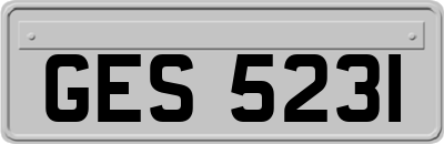 GES5231
