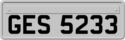 GES5233