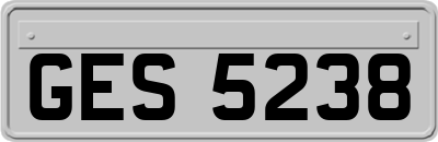 GES5238