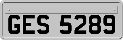 GES5289