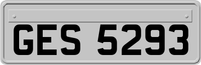 GES5293