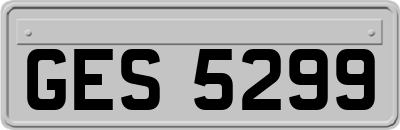 GES5299